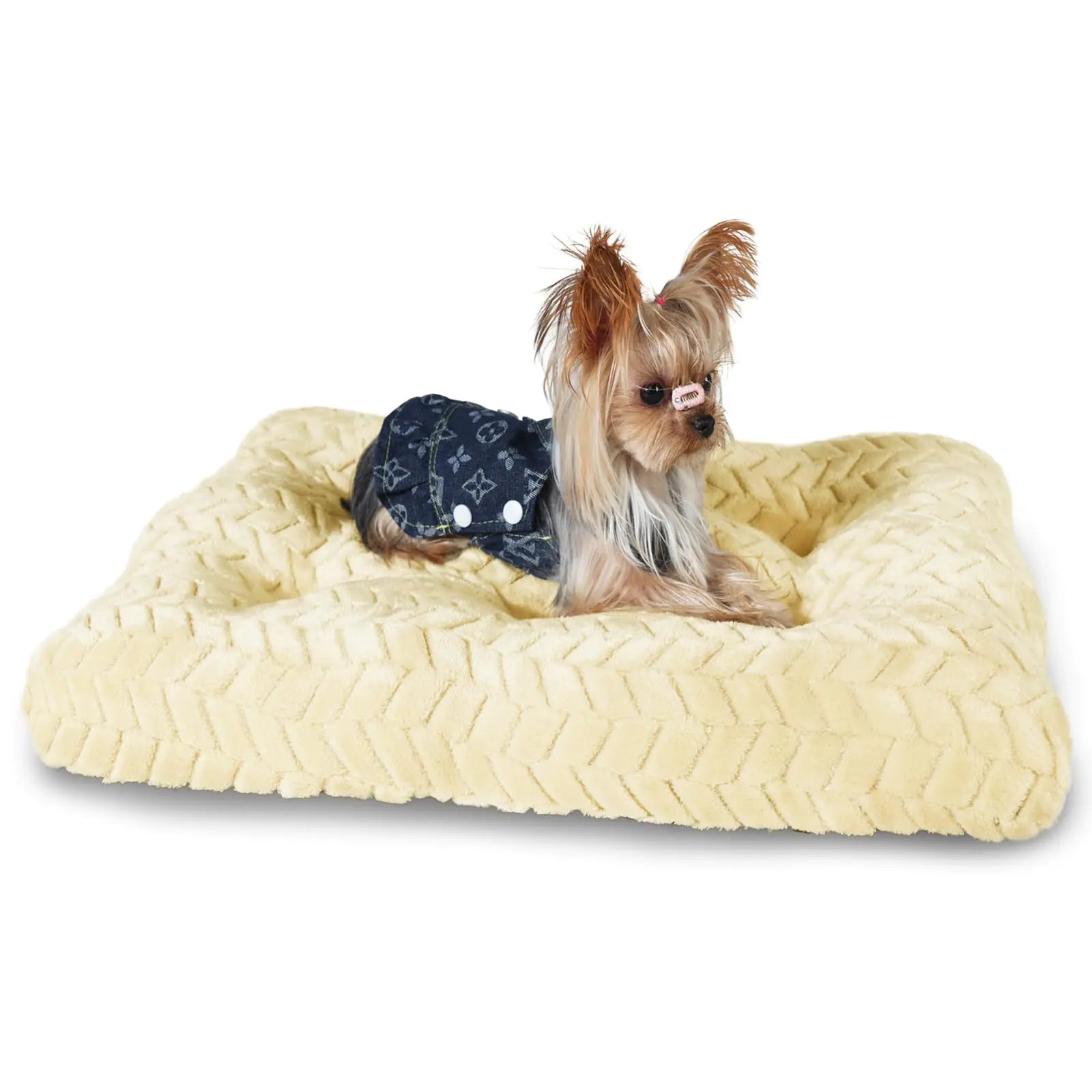 Klamklovf Dog Beds Crate Pad for Small Dogs Fit Metal Dog Crates & Fits a 24Inch Dog Crate Easy Maintenance Machine Wash (Beige Small (24”*18”*4")